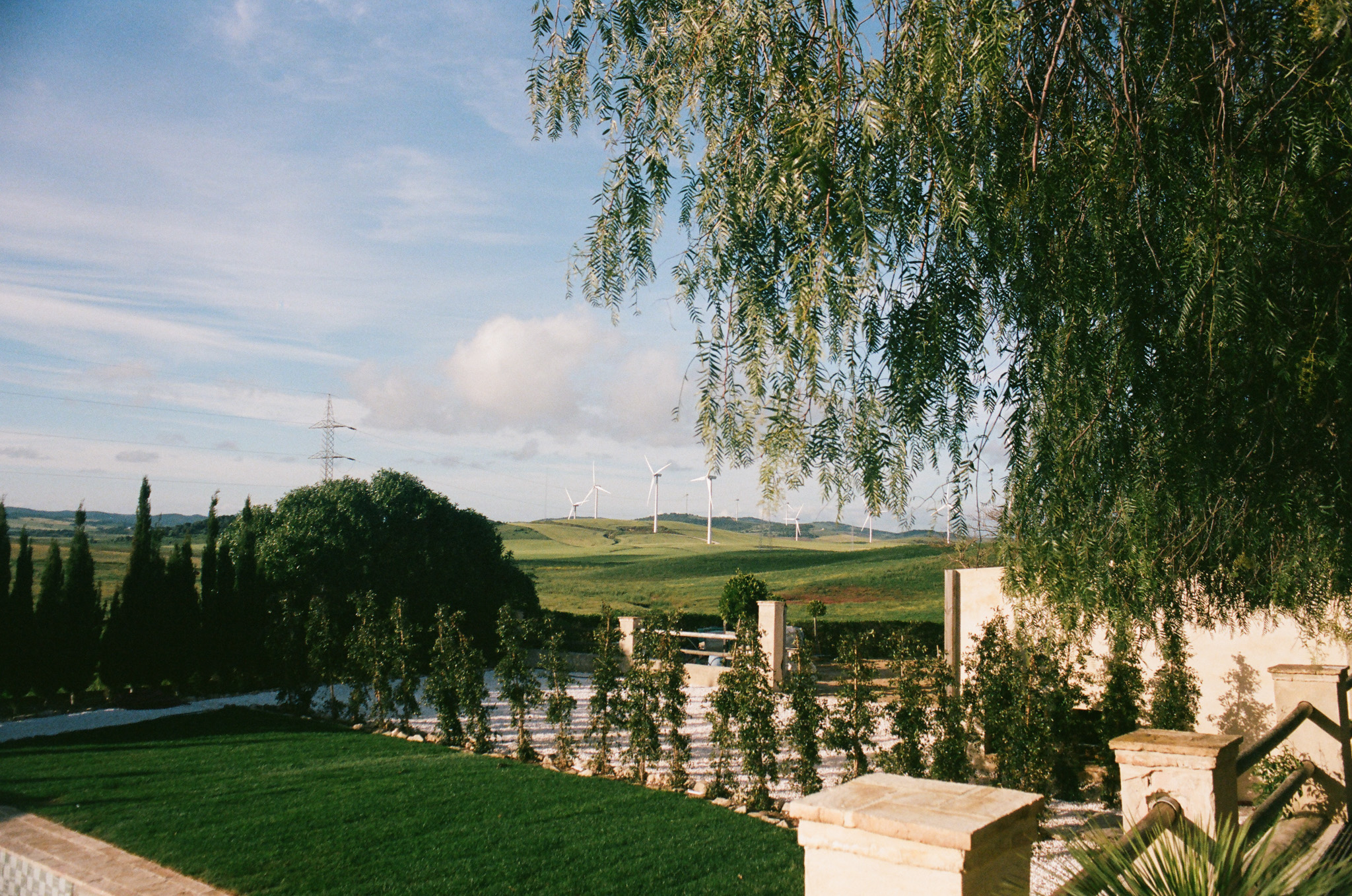color-film - 12.jpg
